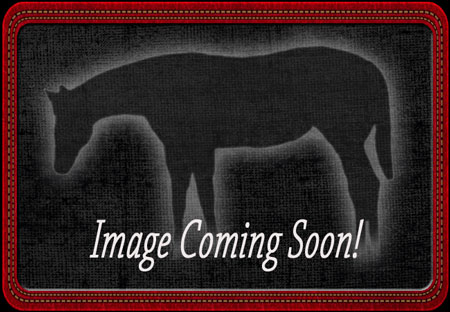 Image Soon!